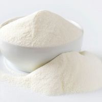 COCO MILK POWDER / PLANT-SOURCED / NO