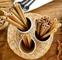 PURE BAMBOO STRAW / CLEAN LABEL / PLANT