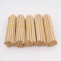 REUSABLE BAMBOO STRAWS / PLANT-BASED / NON