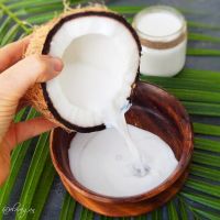 PREMIUM COCONUT MILK / NATURAL ORIGIN / GMO