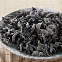 WILD-SOURCED BLACK FUNGUS / SIMPLE INGREDIENT