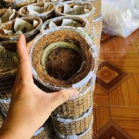 IMMUNE-BOOSTING PLANT FIBER CUP WITH