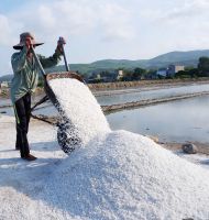 OCEAN HARVESTED SALT / NON-IODIZED / CLEANLY