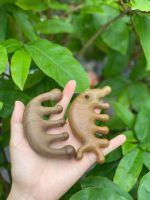 PURE BOTANICAL SANDALWOOD COMB FOR GENTLE