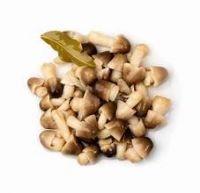 PURE SALTED MUSHROOM / WHOLE FOOD / NON