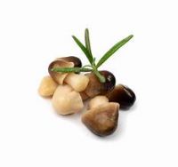 CLEAN STRAW MUSHROOM / SALTED / SIMPLE INGREDIENTS