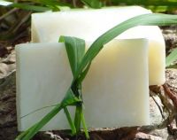 COCONUT OIL SOAP / VEGAN FRIENDLY / HIGH