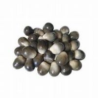 SUN-DRIED STRAW MUSHROOM / LIGHTLY SALTED