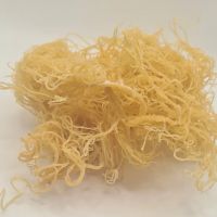 COTTONII MARINE VEGETABLE / CLEANLY PROCESSED / PLANT