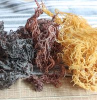 SUN-DRIED COTTONII / NATURAL ALGAE / CLEAN
