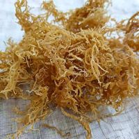 DRIED MARINE MOSS / NUTRIENT-RICH / CLEAN