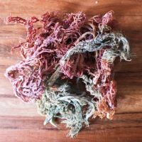 CLEAN SEA MOSS STRIPS / PURELY DRIED