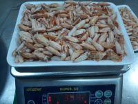 CAREFULLY PEELED CRAB MEAT / CLEAN FOOD