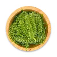 NATURAL SEA GRAPE / CLEANLY HARVESTED / MARINE