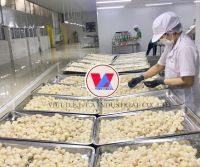 HIGH QUALITY VIETNAM CANNED LYCHEE FOR