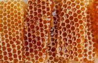 PREMIUM NATURAL HONEY COMB FOR ORGANIC