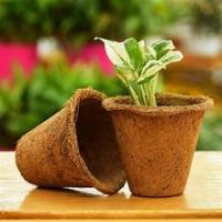 NATURAL COCONUT FIBER GARDEN POT FOR