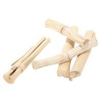 CHEWABLE SUGARCANE TOY / PLANT-BASED FORM