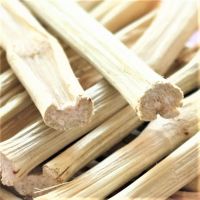 SUGARCANE DOG CHEW TOY / PLANT DERIVED