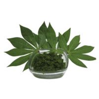 GREEN CASSAVA LEAVES / PURE PLANT SOURCE