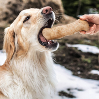 SUSTAINABLE WOODEN CHEW STICK / COFFEE WOOD