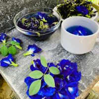 WHOLE BLUE FLOWER TEA / PLANT-DERIVED