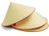TRADITIONAL VIET HAT / PALM LEAF / PLANT