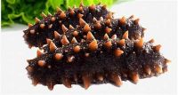 PREMIUM SEA CUCUMBER POWDER PLANT BASED