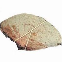PLANT BASED DRIED LOTUS LEAF NATURAL