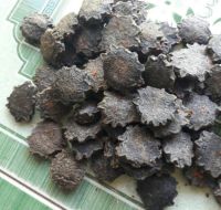 NATURAL GAC FRUIT NUT / ANTIOXIDANT RICH