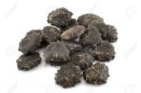 TROPICAL GAC SEED / ANTIOXIDANT BOOST / CLEAN