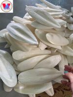 PREMIUM CUTTLEFISH BONE POWDER / CLEAN LABEL