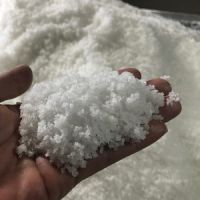 PURE COASTAL SALT / PLANT-BASED / SIMPLE