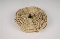 CLEAN LABEL SUSTAINABLE SEAGRASS TWINE PLANT