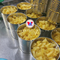 NATURAL YELLOW FRUIT SLICES / CLEAN LABEL