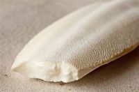 NATURAL CUTTLEFISH BONE FROM CLEAN OCEAN