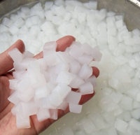 PLANT-BASED NATA DE COCO CUBES