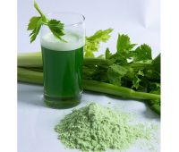 VIETNAMESE CELERY POWDER / RICH IN MINERALS