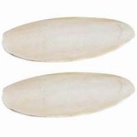 MARINE DERIVED CUTTLEFISH BONE CLEAN CALCIUM