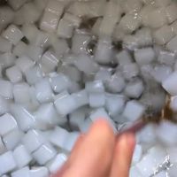 PURE COCONUT JELLY / CLEAN LABEL / PLANT