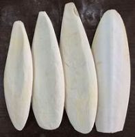 SUSTAINABLY SOURCED CUTTLEFISH BONE PURE MINERAL
