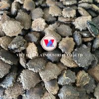 HERBAL GAC SEED EXTRACT SOURCE FROM