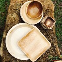  READY FOR RETAIL BRANDS PICNICS AND CLEAN LABEL EXPORT CHAINS