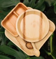 DISPOSABLE NATURAL PALM LEAF PLATE / NON