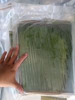 PURE NATURAL BANANA LEAVES FOR FOOD