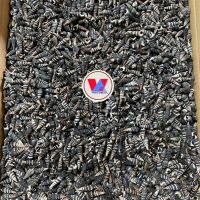 WILD OCEAN SEA SHELL DERIVED MINERAL