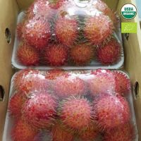 PREMIUM QUALITY RAMBUTAN IN CAN WITH
