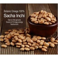 ROASTED SACHA INCHI SEEDS SNACK / NON