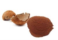 HIGH-QUALITY COCONUT SHELL POWDER / SUSTAINABLE