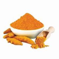 PLANT BASED ORGANIC TURMERIC POWDER FOR